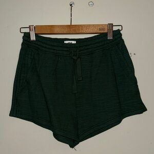 Aerie Dark Green Athletic Shorts